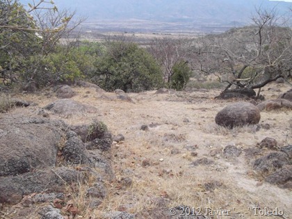 Puente de Camotlán (11)