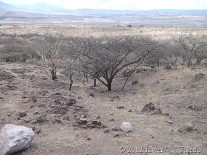 Puente de Camotlán (12)