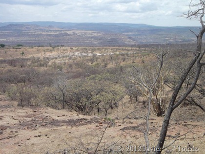 Puente de Camotlán (13)
