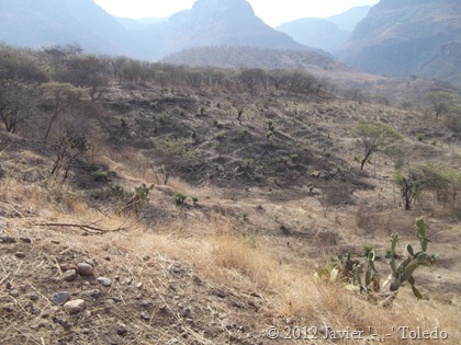 Puente de Camotlán (1)