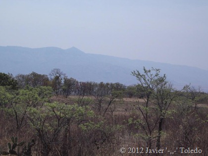 Puente de Camotlán (5)