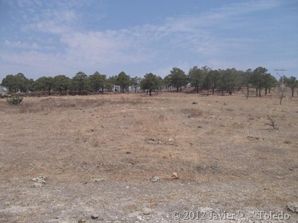 Puente de Camotlán (6)