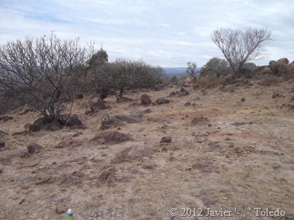 Puente de Camotlán (9)