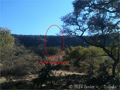 Arrollo de las pedradas