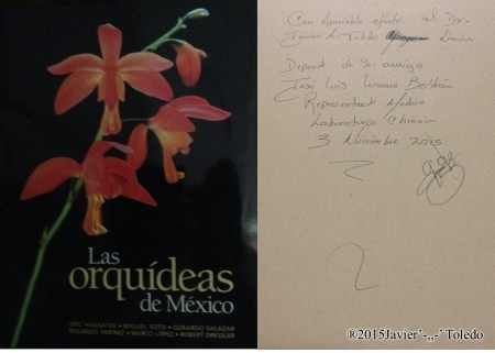 lasorquideasdemexico